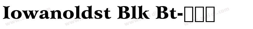 Iowanoldst Blk Bt字体转换